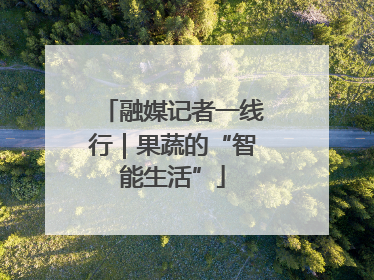 融媒记者一线行｜果蔬的“智能生活”