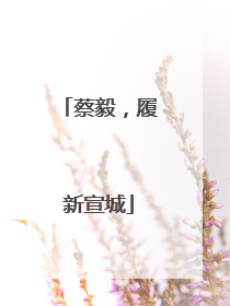 蔡毅，履新宣城