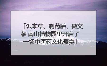 识本草、制药膳、做艾条 南山植物园里开启了一场中医药文化盛宴