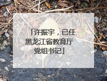 许振宇，已任黑龙江省教育厅党组书记