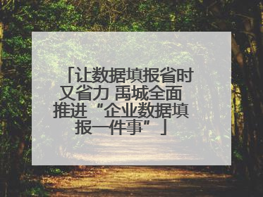 让数据填报省时又省力 禹城全面推进“企业数据填报一件事”