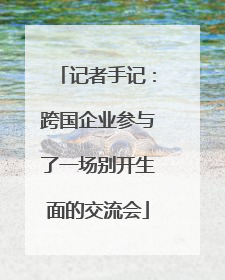 记者手记：跨国企业参与了一场别开生面的交流会