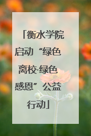 衡水学院启动“绿色离校·绿色感恩”公益行动