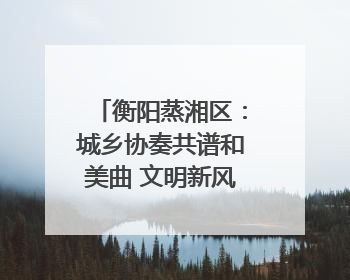 衡阳蒸湘区：城乡协奏共谱和美曲 文明新风劲拂蒸湘地