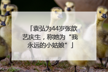 袁弘为44岁张歆艺庆生，称她为“我永远的小姑娘”