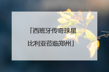 西班牙传奇球星 比利亚莅临郑州