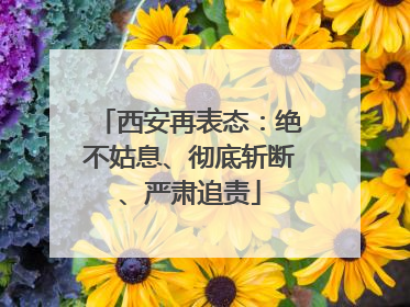 西安再表态：绝不姑息、彻底斩断、严肃追责