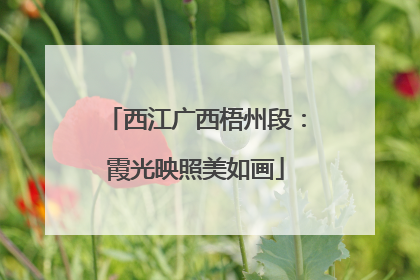 西江广西梧州段：霞光映照美如画