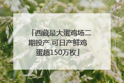 西藏最大蛋鸡场二期投产 可日产鲜鸡蛋超150万枚