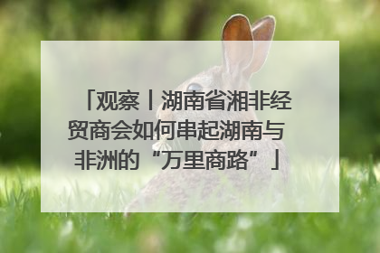观察丨湖南省湘非经贸商会如何串起湖南与非洲的“万里商路”