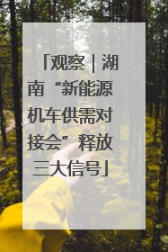 观察｜湖南“新能源机车供需对接会”释放三大信号
