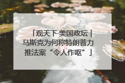 观天下·美国政坛｜马斯克为何称特朗普力推法案“令人作呕”