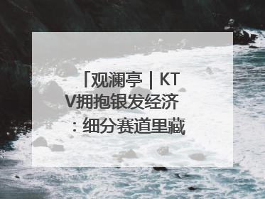 观澜亭｜KTV拥抱银发经济：细分赛道里藏着潜在需求