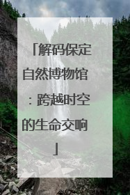解码保定自然博物馆：跨越时空的生命交响