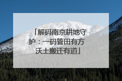 解码南京耕地守护：一码管田有方 沃土搬迁有道