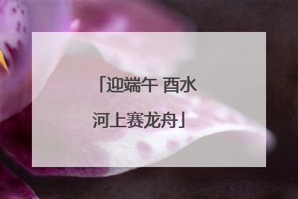 迎端午 酉水河上赛龙舟
