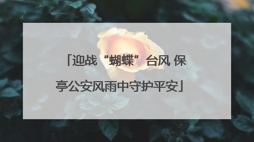 迎战“蝴蝶”台风 保亭公安风雨中守护平安