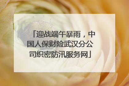 迎战端午暴雨，中国人保财险武汉分公司织密防汛服务网