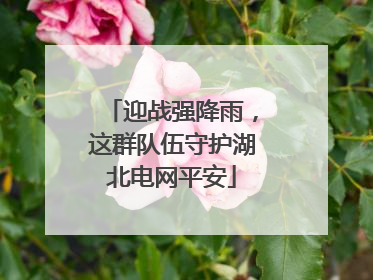 迎战强降雨，这群队伍守护湖北电网平安