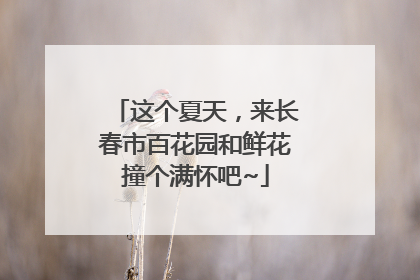 这个夏天，来长春市百花园和鲜花撞个满怀吧~