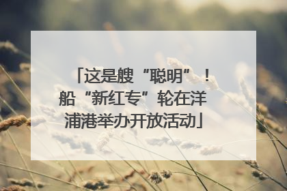 这是艘“聪明”！船“新红专”轮在洋浦港举办开放活动
