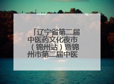 辽宁省第二届中医药文化夜市（锦州站）暨锦州市第二届中医康养夜市启幕