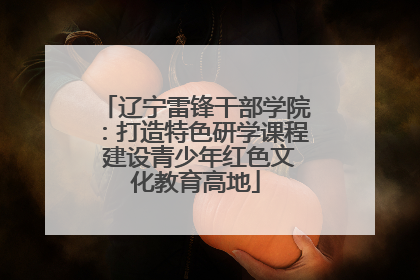 辽宁雷锋干部学院：打造特色研学课程 建设青少年红色文化教育高地