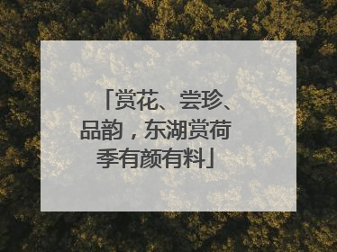 赏花、尝珍、品韵，东湖赏荷季有颜有料