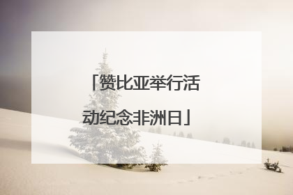 赞比亚举行活动纪念非洲日