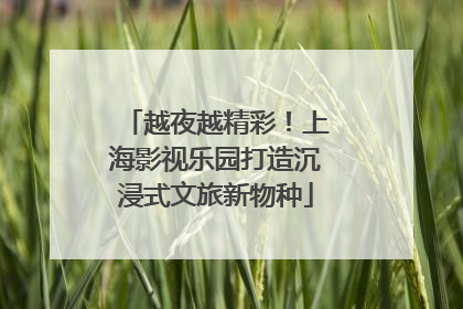 越夜越精彩！上海影视乐园打造沉浸式文旅新物种