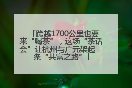 跨越1700公里也要来“喝茶”，这场“茶话会”让杭州与广元架起一条“共富之路”