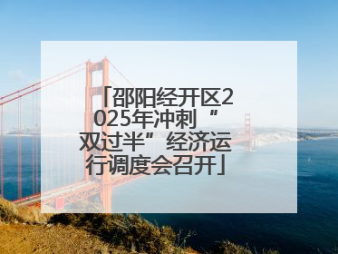 邵阳经开区2025年冲刺“双过半”经济运行调度会召开