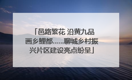 邑路繁花 沿黄九品 画乡鲤都……聊城乡村振兴片区建设亮点纷呈