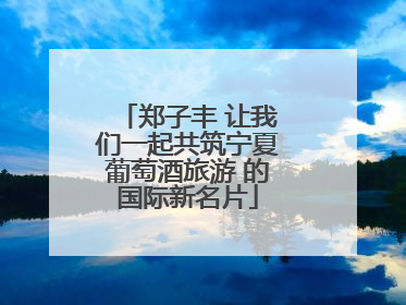 郑子丰 让我们一起共筑宁夏葡萄酒旅游 的国际新名片