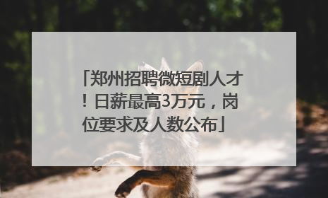 郑州招聘微短剧人才！日薪最高3万元，岗位要求及人数公布