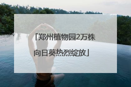 郑州植物园2万株向日葵热烈绽放