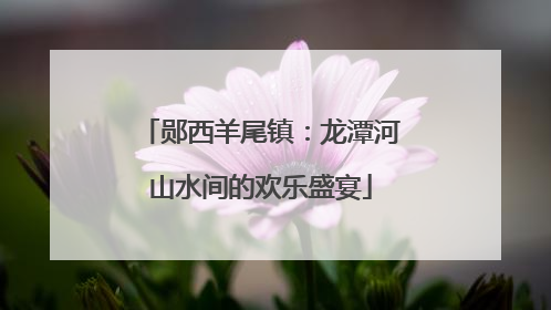郧西羊尾镇：龙潭河山水间的欢乐盛宴