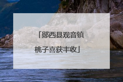 郧西县观音镇桃子喜获丰收