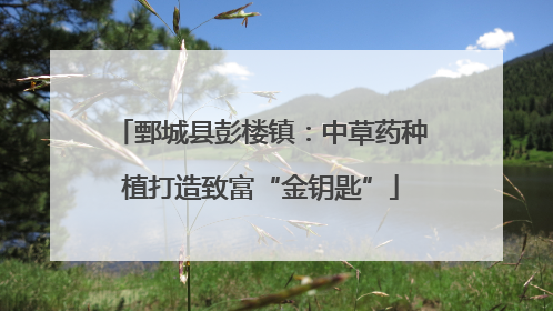 鄄城县彭楼镇：中草药种植打造致富“金钥匙”