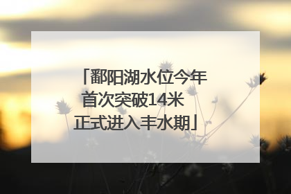 鄱阳湖水位今年首次突破14米 正式进入丰水期