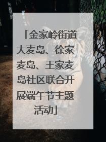 金家岭街道大麦岛、徐家麦岛、王家麦岛社区联合开展端午节主题活动