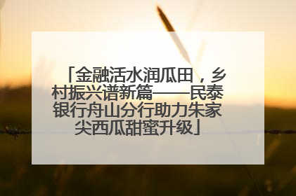 金融活水润瓜田，乡村振兴谱新篇——民泰银行舟山分行助力朱家尖西瓜甜蜜升级