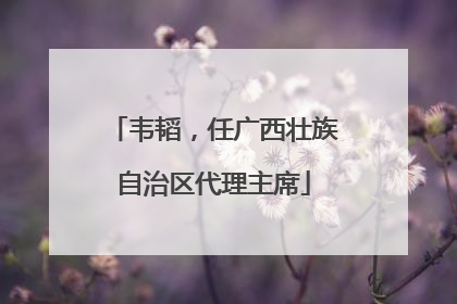 韦韬，任广西壮族自治区代理主席