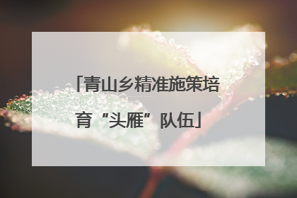 青山乡精准施策培育“头雁”队伍