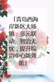 青岛西海岸新区大场镇：多元联动、智治无忧，提升综治中心新效能