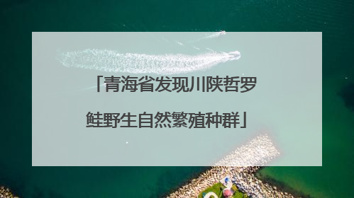 青海省发现川陕哲罗鲑野生自然繁殖种群