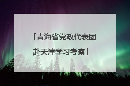 青海省党政代表团赴天津学习考察