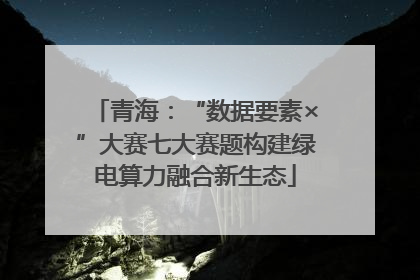 青海：“数据要素×”大赛七大赛题构建绿电算力融合新生态
