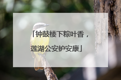 钟鼓楼下粽叶香，莲湖公安护安康