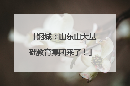 钢城：山东山大基础教育集团来了！
